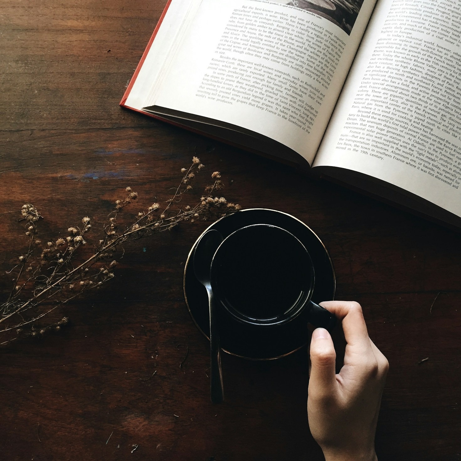 The Future Of Digital Longform Storytelling