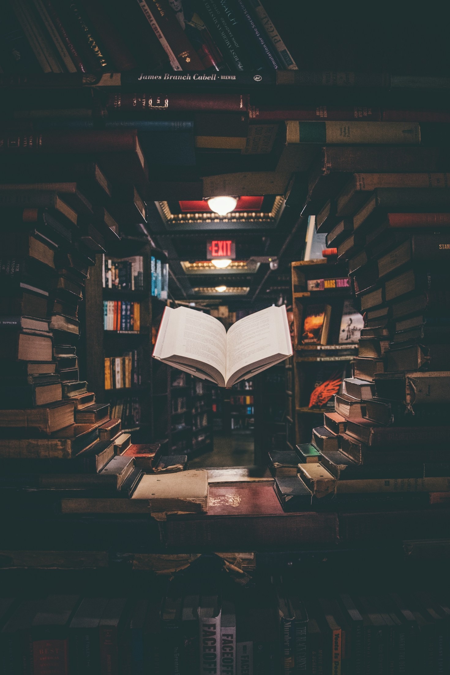 The Future Of Digital Longform Storytelling